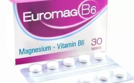 Evromaq B6 haqqında məlumat