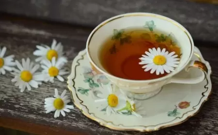 Baş ağrısını anında kəsən üç bitki çayı