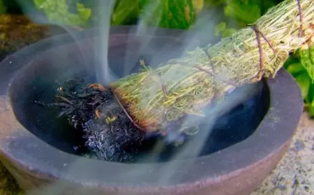 Evdə bibəriyə, kəklikotu yandırın ki...