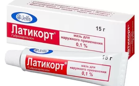 Latikort maz nə üçündür?