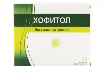 Xofitol istifadə qaydası necədir?