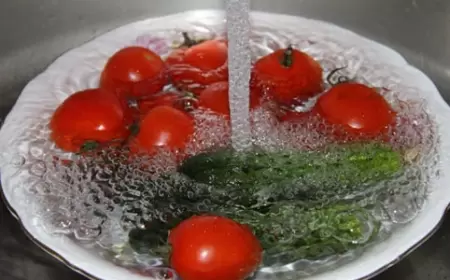 Pomidorla xiyarı birlikdə yeməyin - SƏBƏB