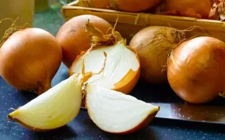 Soğan qabığını atmayın - Bu xəstəliklərin dərmanıdır