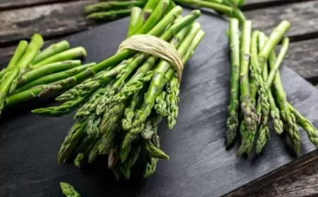 Qulançar bu xəstəliklərin dərmanı imiş