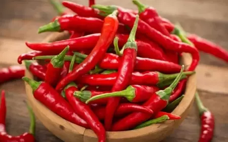 Acı bibərin faydaları nələrdir?