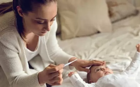 Azərbaycanda MEYMUNÇİÇƏYİ həyəcanı - Nazirlikdə kritik toplantı