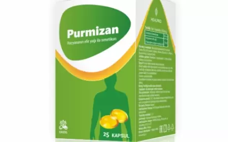 Purmizan kapsul istifadə qaydası necədir?