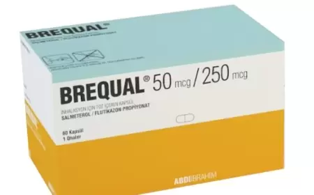 Brequal 50/250 istifadə qaydası necədir?