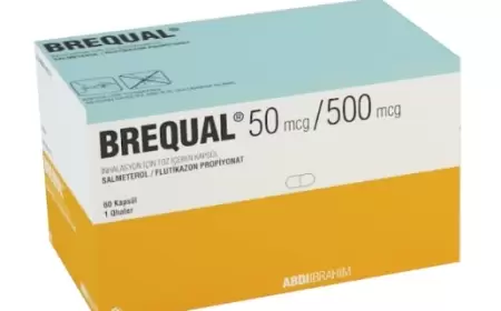 Brequal 50/500 haqqında məlumat