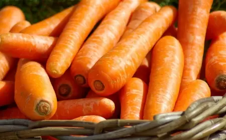 Hərgün kök yesək nə baş verər?
