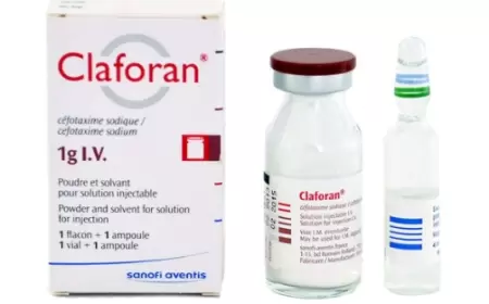Klaforan 1 q + inyeksiya suyu N1 nə üçündür? istifadə qaydası necədir?