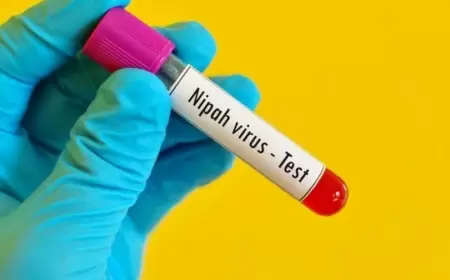 Ölümcül virus yayılır - MÜALİCƏSİ YOXDUR...