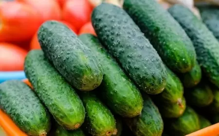 96 faizi sudan ibarət olan xiyarın inanılmaz faydaları - Çox yedikdə isə…