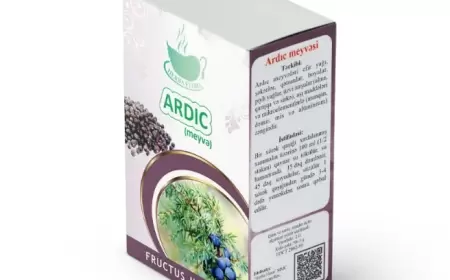 Ardıc meyvəsi nədir? faydaları nələrdir?