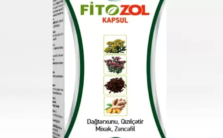 Fitozol kapsul nə üçündür?