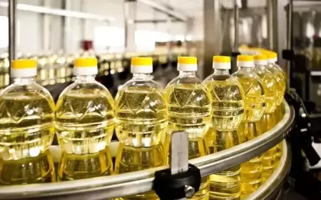 Bitki yağları zərərlidirmi? - Mütəxəssisdən AÇIQLAMA