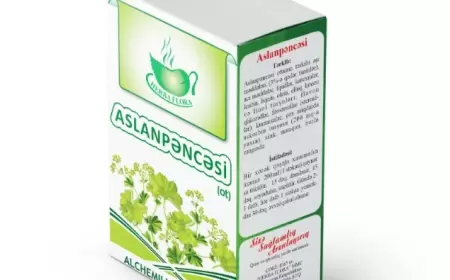 Aslanpəncəsi otu faydaları nələrdir?