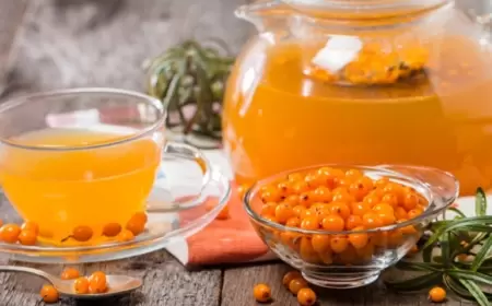 Ən yaxşı antidepressant - Çaytikanı çayının HAZIRLANMASI