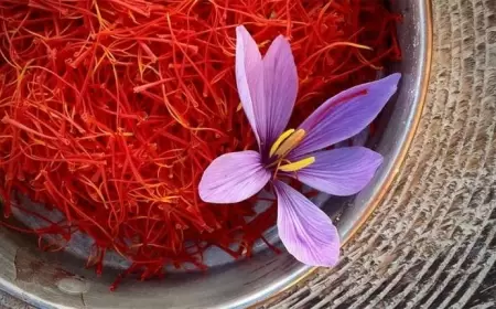 Zəfəranın möcüzəvi faydaları