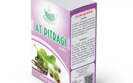 At pıtrağı kökü nə üçündür?