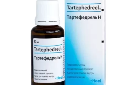 Tartefedrel N damcı nə üçündür?