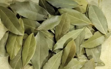 Evin künclərinə dəfnə yarpağı qoyun