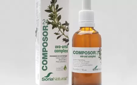 Komposor 24 uva-ursi kompleks haqqında məlumat