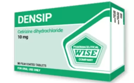 Densip haqqında məlumat