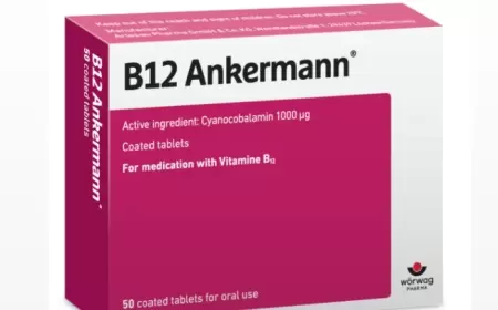 B12 Ankermann nə üçündür?