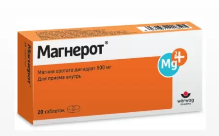 Maqnerot (Magnerot) nə üçündür? tərkibi və qiyməti
