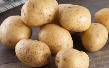 Dükanlarda satılan yuyulmuş tərəvəzləri almayın! Xəbərdarlıq