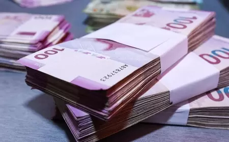 Bu şəxslərin aylıq müavinət ödənişi DAYANDIRILIR?