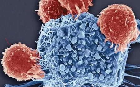 Səhər edilən bu səhv xərçəng riskini artırır - Alimlər açıqladı