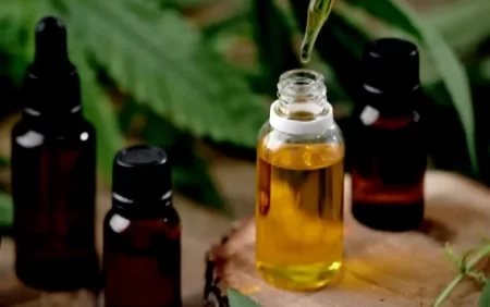 İnternet üzərindən çətənə yağı və toxumunun satışı qanunidirmi?