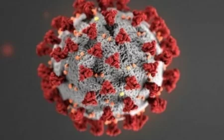 Evinizdə bu yerlər viruslarla zəngindir - Alimlərdən ARAŞDIRMA