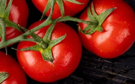 Görün tomat pastası adı ilə vətəndaşlara nə yedizdirdilər