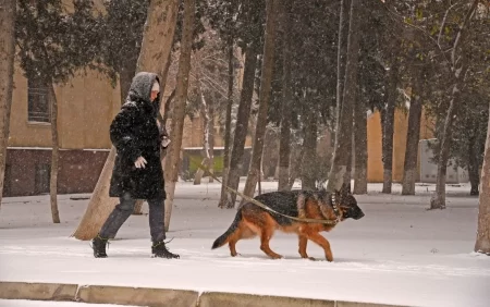 XƏBƏRDARLIQ qar yağacaq