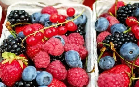 Hansı giləmeyvə orqanizmə daha faydalıdır?