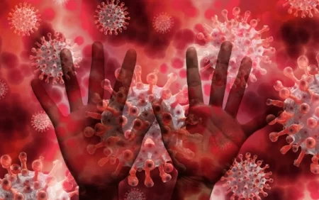 COVID-19 laboratoriyada yaranmayıb: Müzakirələrə son qoyuldu