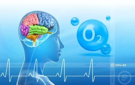 Beyinin oksigensiz qalmasının yarada biləcəyi FƏSADLAR və 72 saat gözləmə inancı