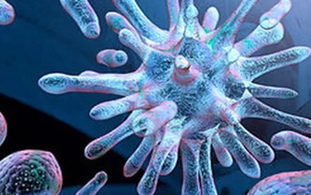 Sitomeqalovirus infeksiyası və hamiləlik