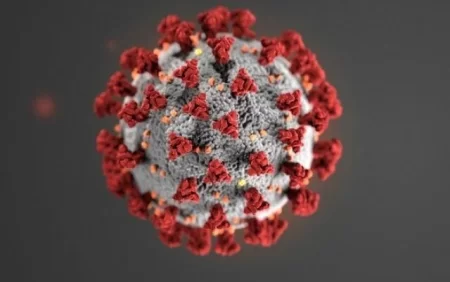 XƏBƏRDARLIQ: Yeni COVID ştammının təhlükəsi