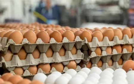 Broyler yumurtalarının zərərləri açıqlandı - XƏBƏRDARLIQ