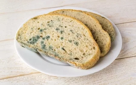 Kiflənmiş çörək yesəniz nə olar?