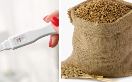 İlk hamiləlik testi necə olub? Arpa-buğda testi