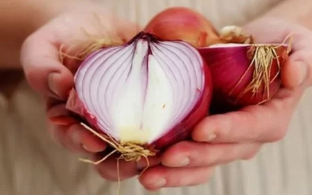 Ayağınızın altına soğan dilimi bağlayın - Xəstəlikdən xilas olun