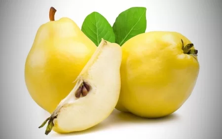 Yuxuda heyva görmək hansı mənaya gəlir?