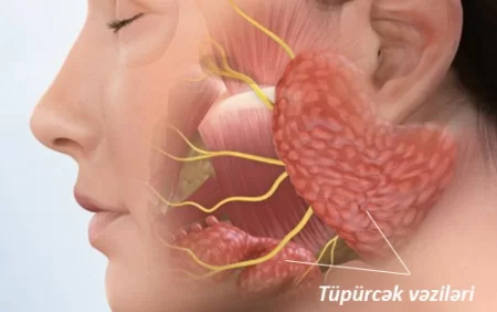 Şeqren xəstəliyi. Gözlər və ağız quruyursa...