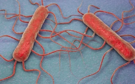 Listeriya bakteriyası yayıldı: Bir körpə öldü, 9 nəfər...