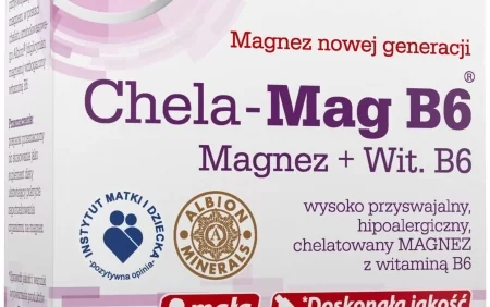 Chela-Mag B6 haqqında məlumat